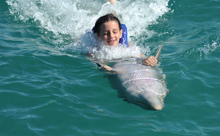 Delphinus Ride - Dolphin Swim at Xcaret