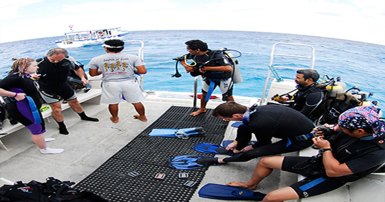 Scuba PADI Open Water Certificate 