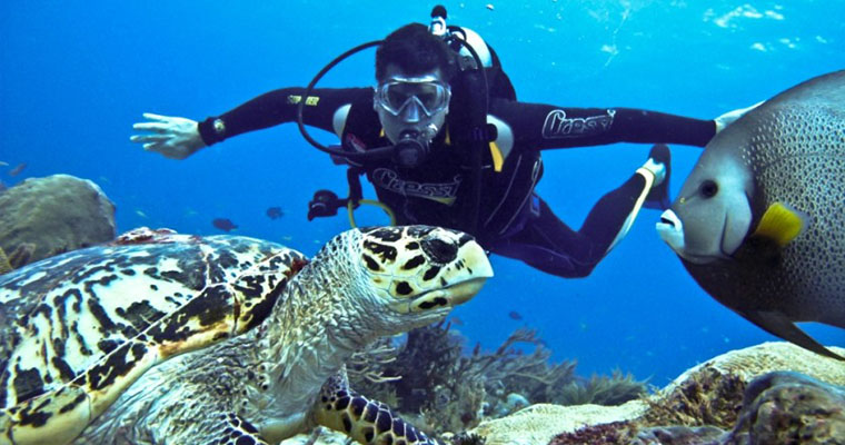 Scuba Dive Package E 