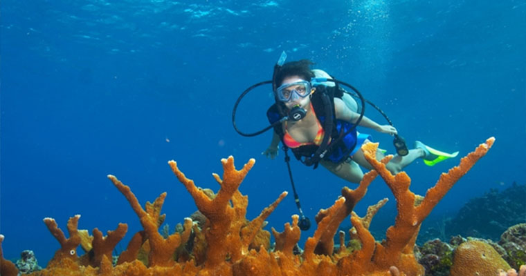 Snorkel in Caverns with Scuba Cancun 