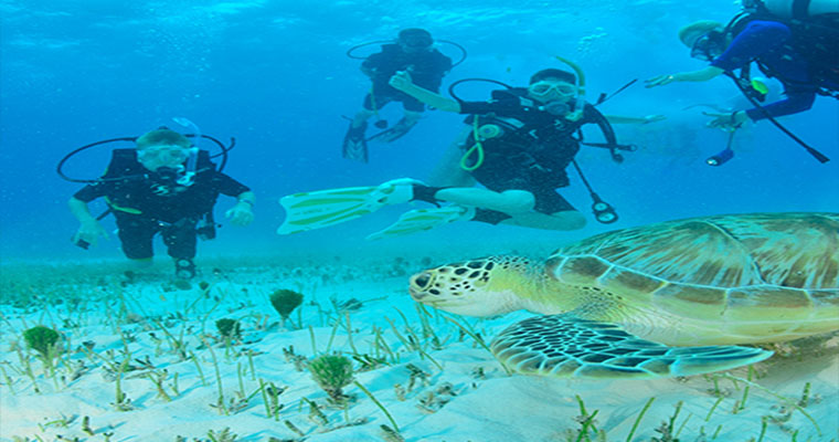 Scuba 1 Tank Cancun 