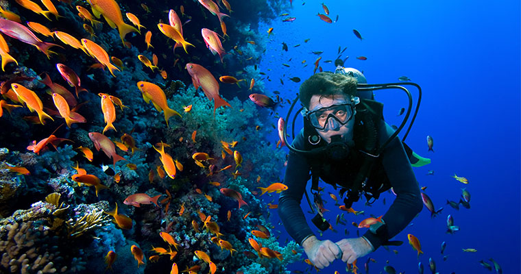 Scuba Dive Package E 