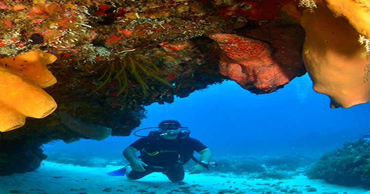 Scuba 1 Tank Cancun 