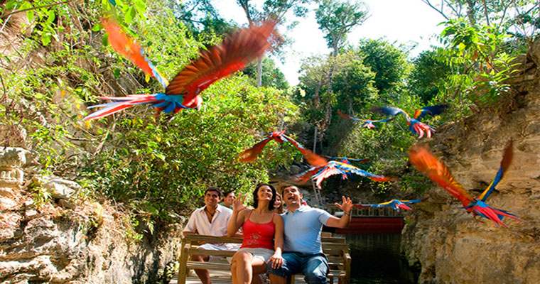 Private Tulum & Xcaret 