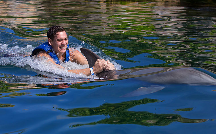 Delphinus Ride - Puerto Morelos 