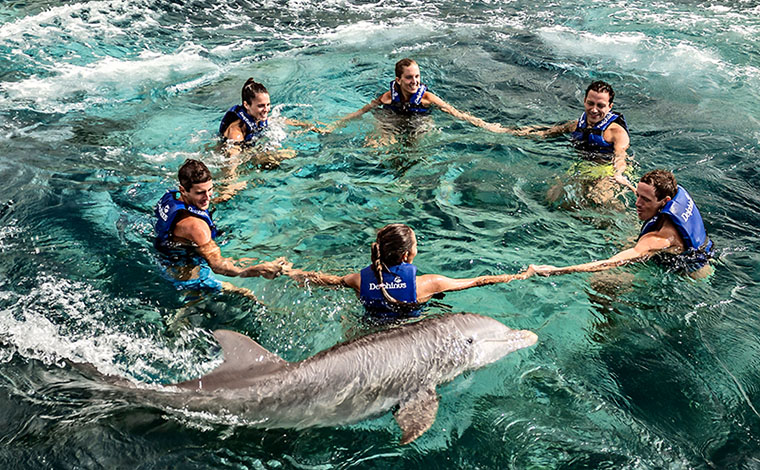 Delphinus Splash - Riviera Maya 