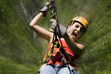 Extreme Zipline Canopy Adventure