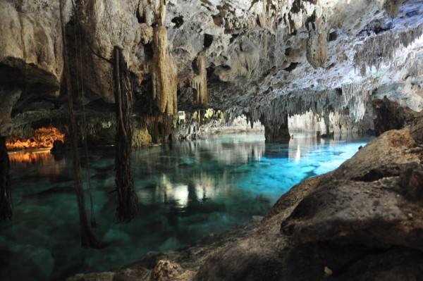 Private Cenote & Reef Snorkel