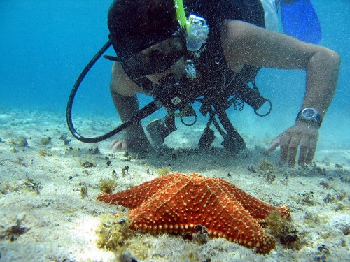 Scuba 2 Tank Cozumel